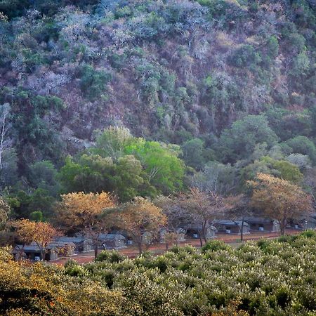Lions Rock Rapids - Luxury Tented Camp Hazyview Dış mekan fotoğraf