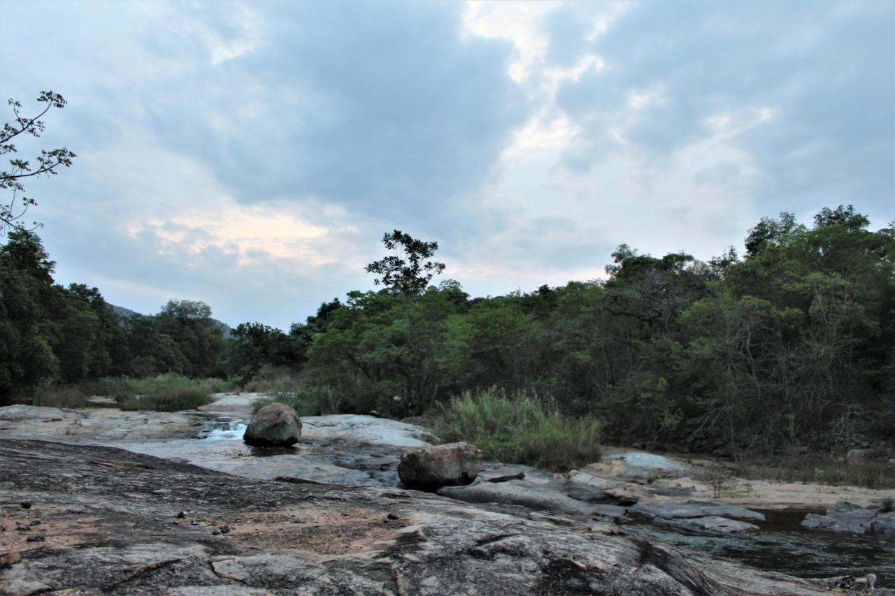 Lions Rock Rapids - Luxury Tented Camp Hazyview Dış mekan fotoğraf