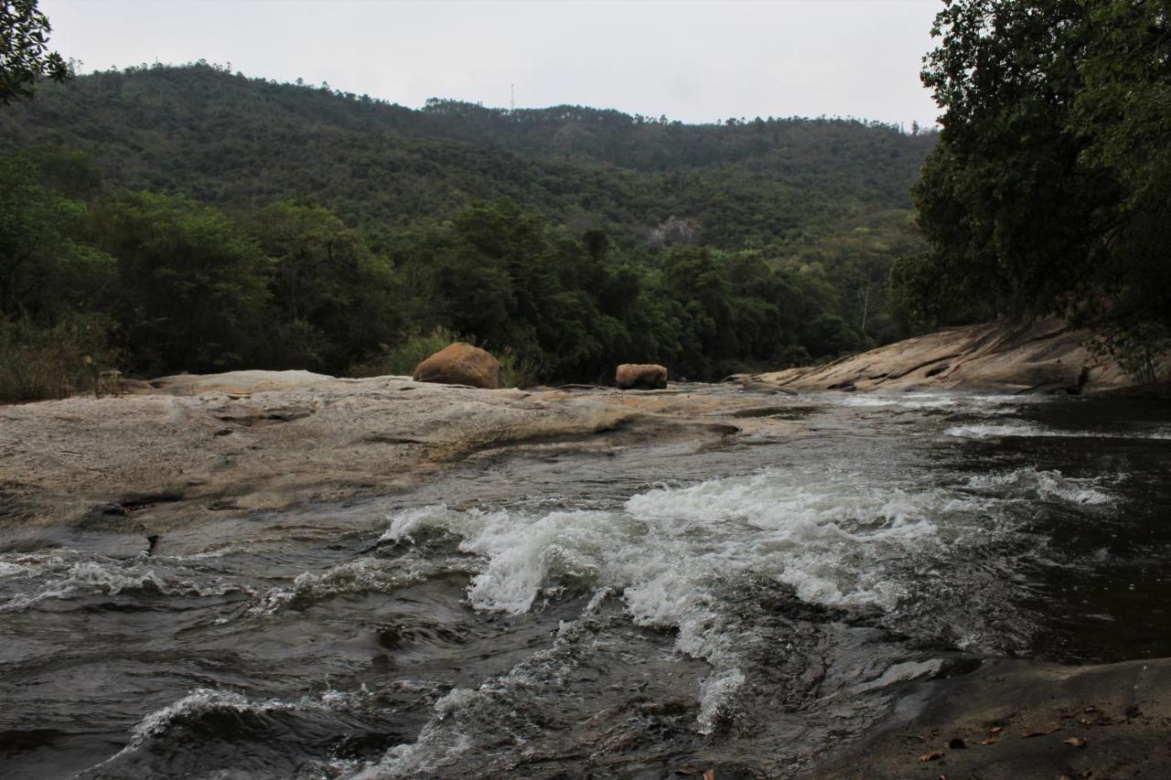 Lions Rock Rapids - Luxury Tented Camp Hazyview Dış mekan fotoğraf