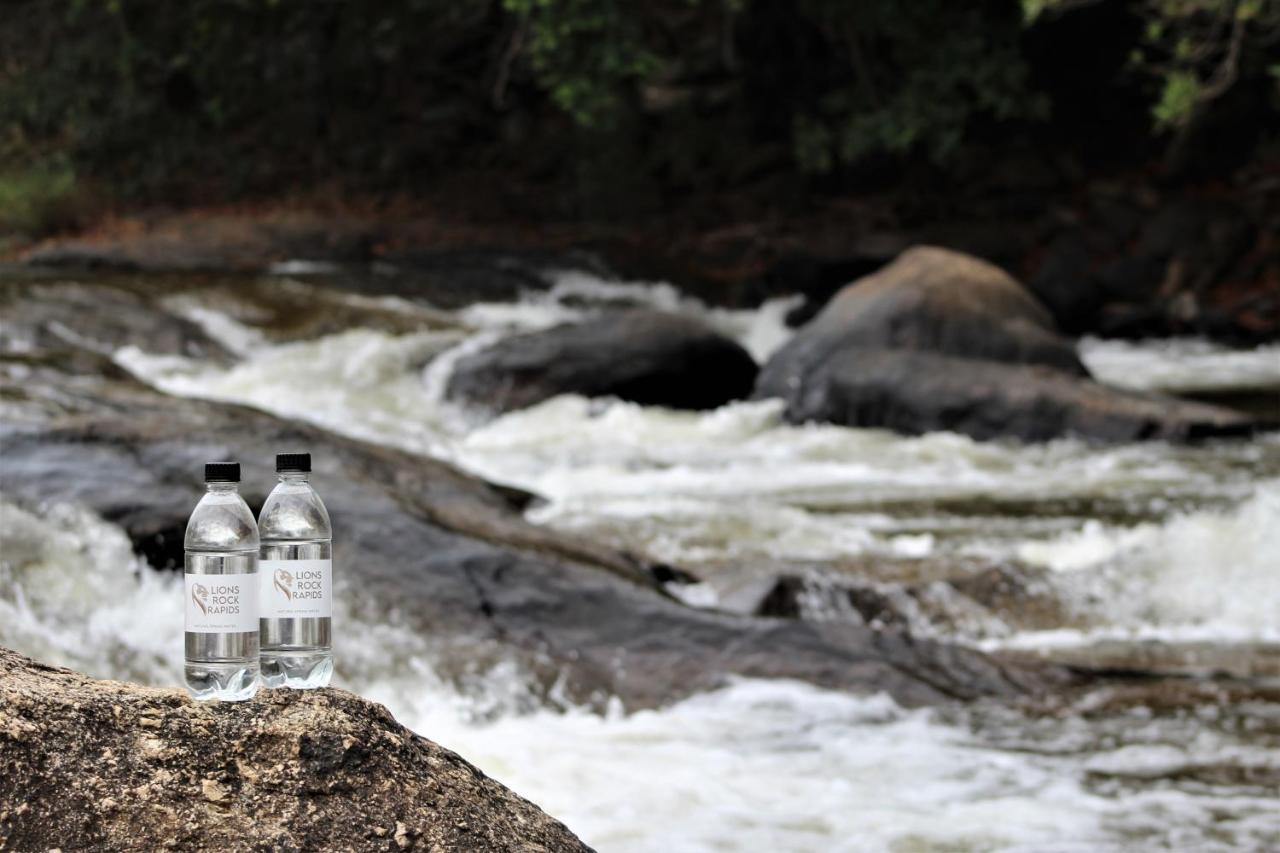 Lions Rock Rapids - Luxury Tented Camp Hazyview Dış mekan fotoğraf