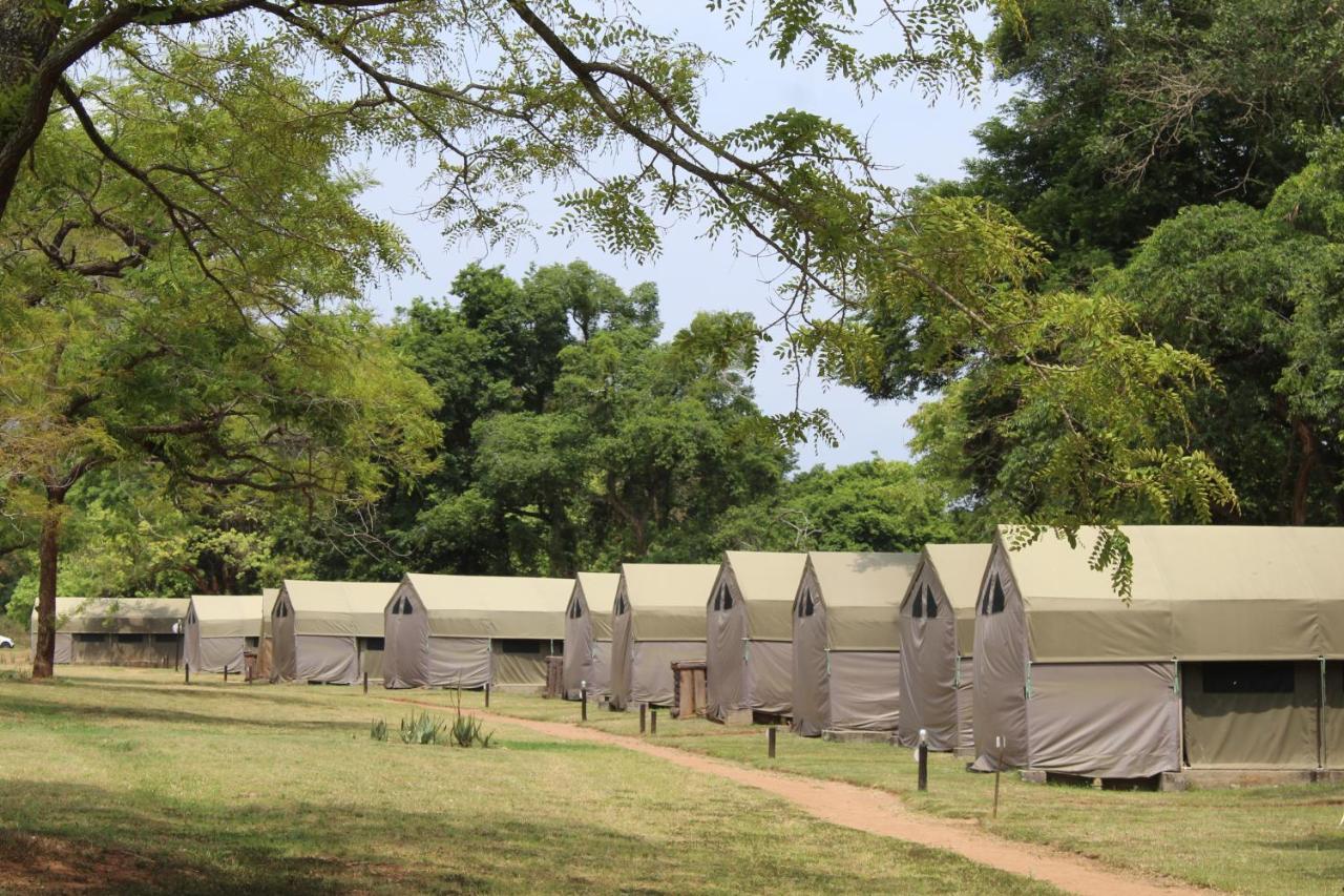 Lions Rock Rapids - Luxury Tented Camp Hazyview Dış mekan fotoğraf