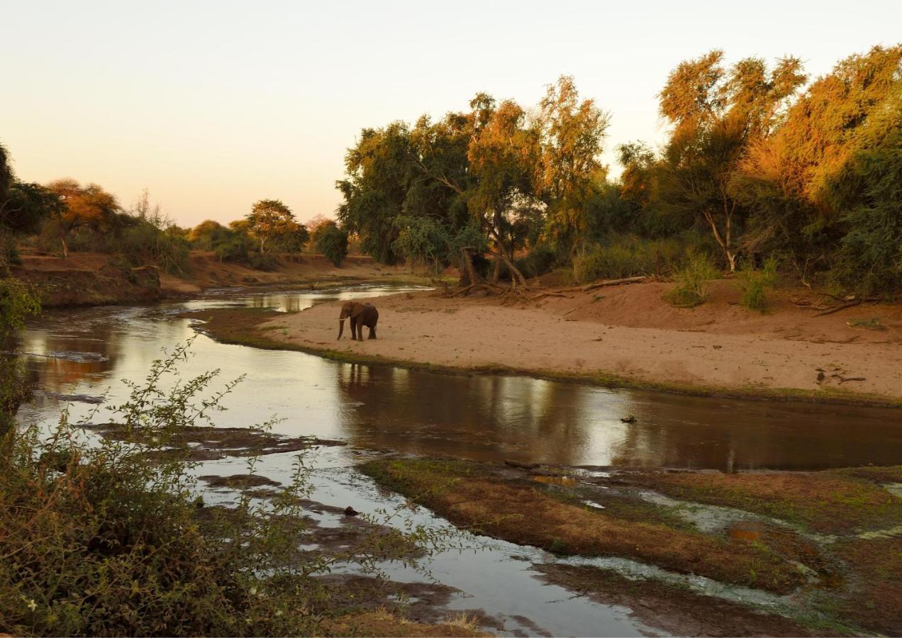 Lions Rock Rapids - Luxury Tented Camp Hazyview Dış mekan fotoğraf