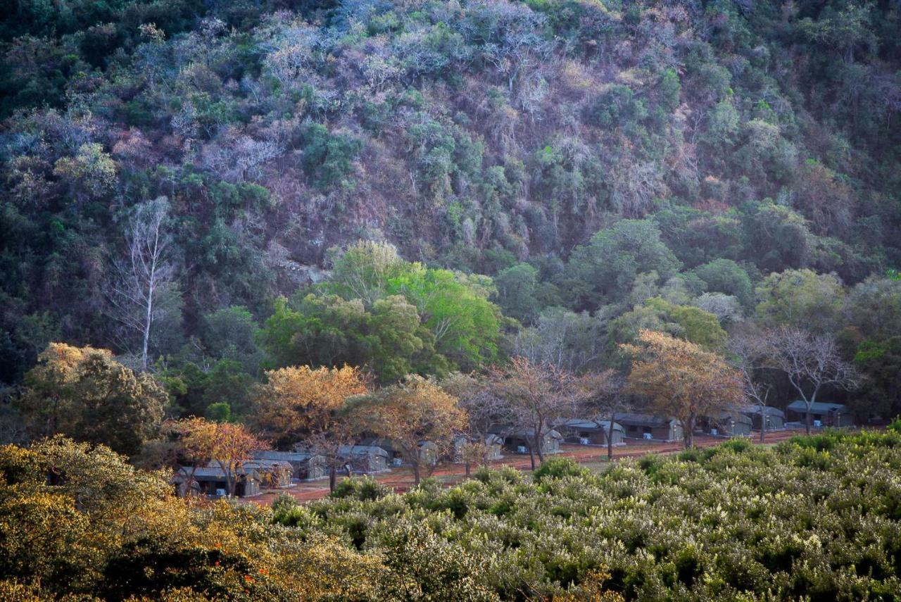 Lions Rock Rapids - Luxury Tented Camp Hazyview Dış mekan fotoğraf